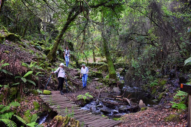 An adventure through the Schist Villages of Lousã (with walk) - From Coimbra to Lousã: the ride that sets the mood