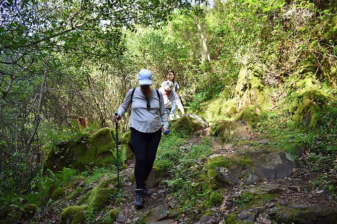 An adventure through the Schist Villages of Lousã (with walk) - Aldeia do Talasnal: the iconic schist village stop