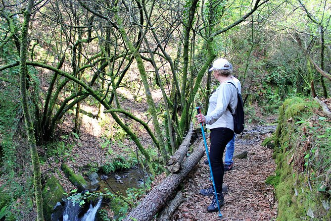 An adventure through the Schist Villages of Lousã (with walk) - How to handle the hike: steep climbs without burning out