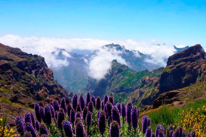 Arieiro Peak, Santo Serra, Cristo Rei in Open Roof 4x4 Experience - Pico do Arieiro: the 1,818 m viewpoint that drives the whole tour