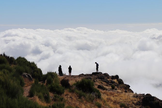 Arieiro Peak, Santo Serra, Cristo Rei in Open Roof 4x4 Experience - Guide impact: the real difference between a good day and a great one