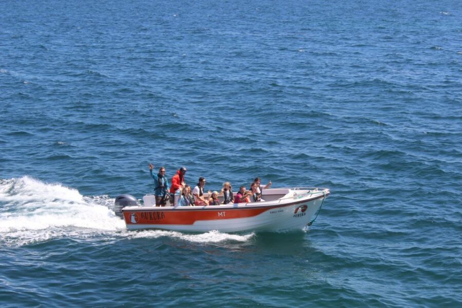 Armação de Pêra: Guided Boat Tour of Benagil's 15 Best Caves - Spotlight on the caves: what makes Benagil more than a photo stop
