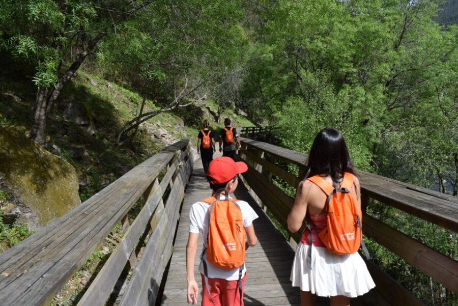 Arouca: Guided Tour Paiva Walkways + 516 Suspension Bridge - Why Arouca is a walk-and-bridge day you’ll remember