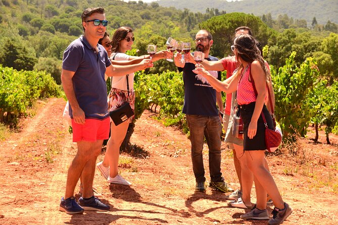 Arrabida and Sesimbra Small-Group Day Trip from Lisbon with Wine Tasting - Arrábida Natural Park: sea views and an active viewpoint break