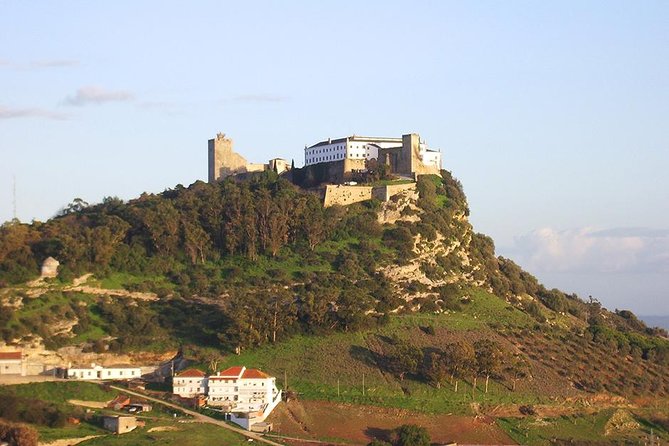 Arrabida and Sesimbra Small-Group Day Trip from Lisbon with Wine Tasting - Quinta do Alcube: family-owned wine in the heart of Arrábida