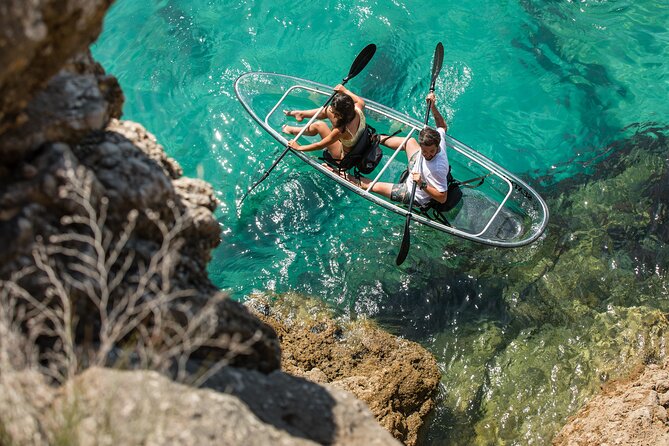 Arrábida: Guided Transparent Kayaking Tour - Spotting Marine Life: What You Can Actually Control