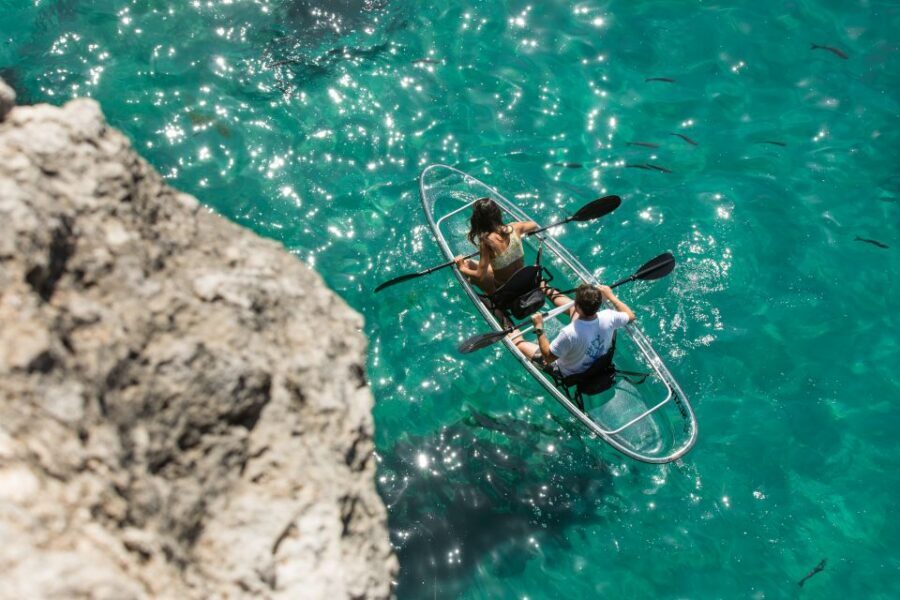 Arrábida: Guided Transparent Kayaking Tour - Price and value (about $64): what you get for the money