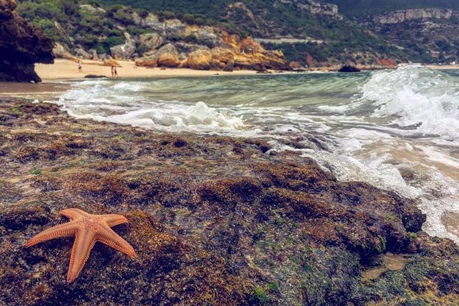 Arrabida Safari – Europe's Most Beautiful Beach & Hidden Gems - Jeep Cabrio roads through Arrábida Natural Park