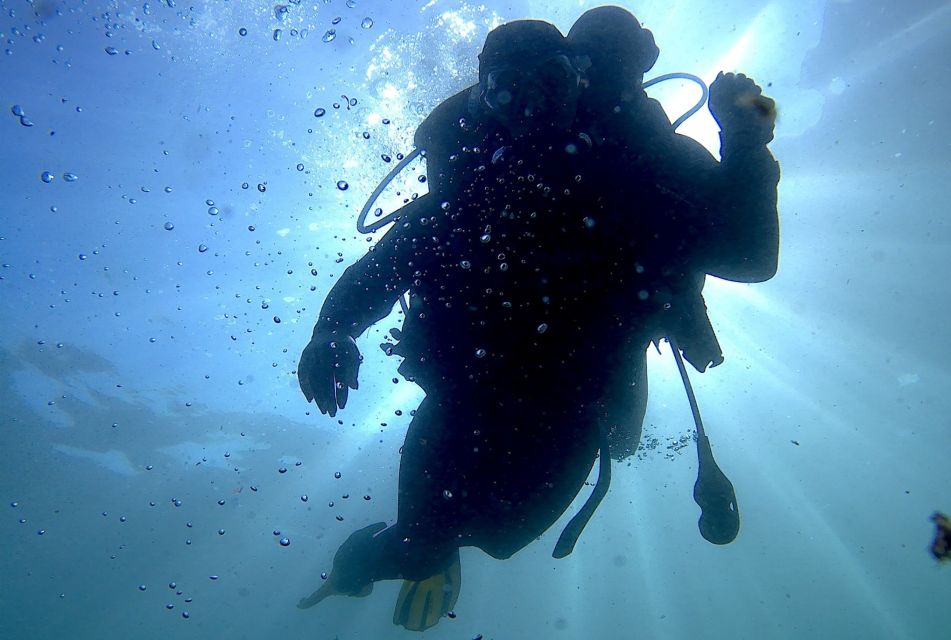 Arrábida - Sesimbra: Eco-Friendly Beginner's Scuba Diving - How this Arrábida-Sesimbra program actually works