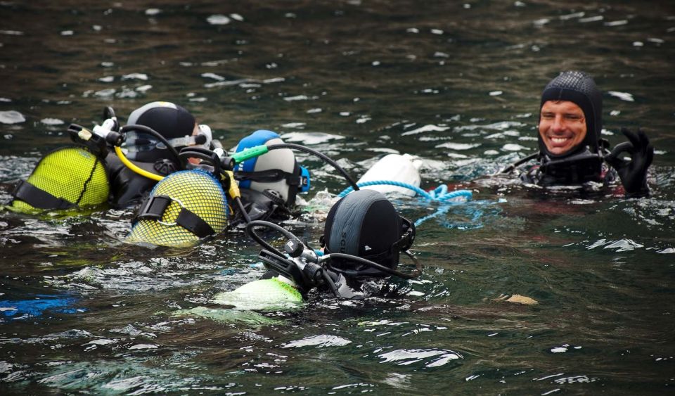 Arrábida - Sesimbra: Eco-Friendly Beginner's Scuba Diving - Professor Luiz Saldanha Marine Park: what you’re there for
