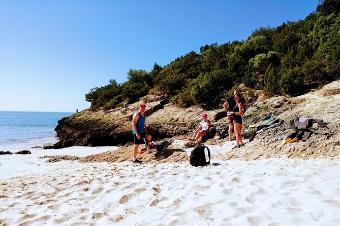 Arrábida Snorkeling Adventure with Transfer from Lisbon - Cold water, fog, and the day-the-sea-writes-it rule