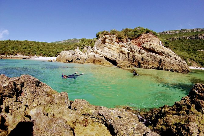 Arrábida Snorkeling Adventure with Transfer from Lisbon - Photos and video: a nice add-on for a water-and-walk day