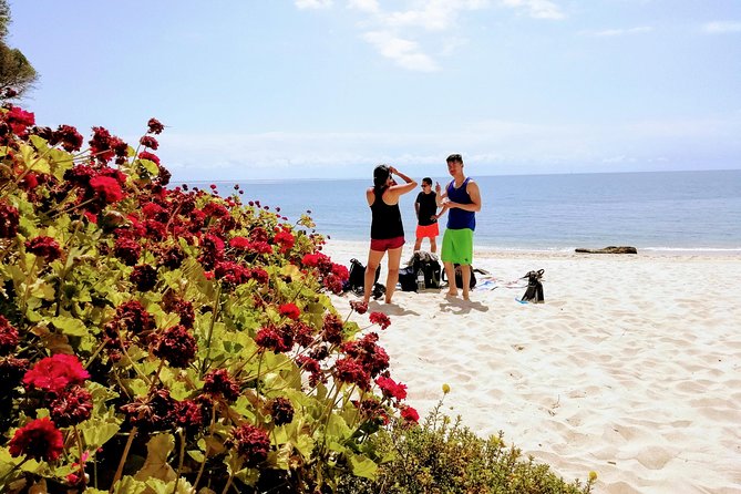 Arrábida Snorkeling Adventure with Transfer from Lisbon - Price and value: what you’re really paying for