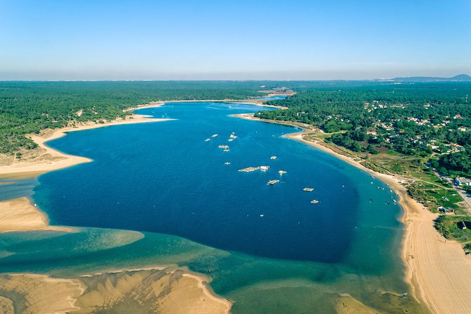 Arrabida Wine Tour from Lisbon: Wineries, Tastings & Tile Factory - Key Highlights You’ll Actually Feel