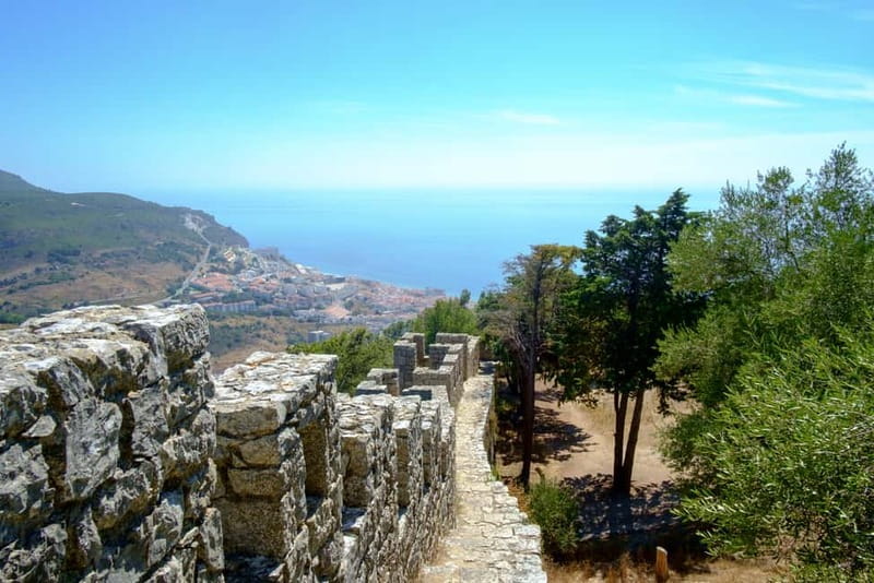Arrabida Wine Tour - Lisbon: Wineries-Tastings-Tile Factory - Jose Maria da Fonseca: history-heavy cellars and tasting two older wines