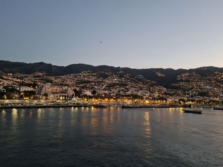 Audio Guide Citywalk Funchal for Cruise Guests - Price and value: $11 sounds easy until you think per smartphone