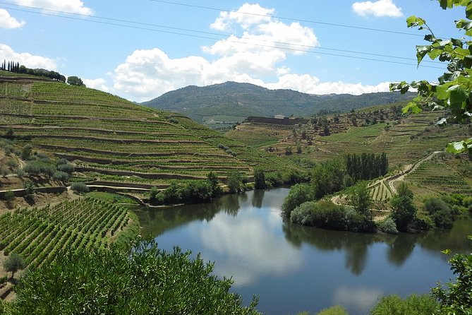 Authentic Douro Valley - small-Group Tour (Max 7) - Sabrosa and the Quinta-style tasting stop: DOC plus olive oil learning