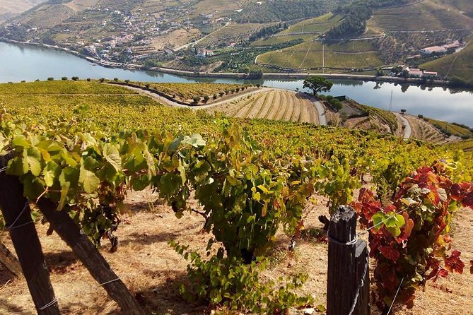 Authentic Douro Valley - small-Group Tour (Max 7) - Pinhão’s small-town detour: a drink, a bit of culture, and a slower moment