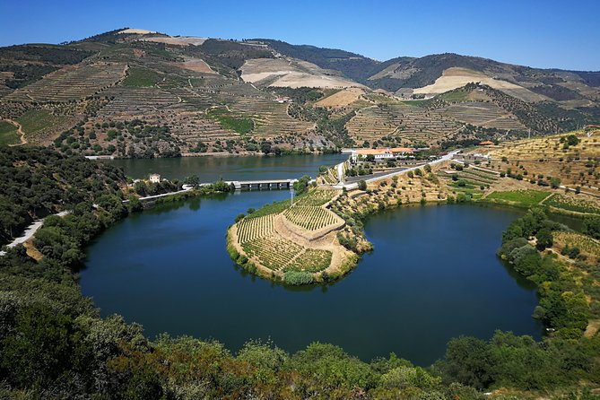 Authentic Douro Valley - small-Group Tour (Max 7) - The N222 drive: the iconic road segment built into your route