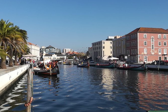 Aveiro and Coimbra Small Group Tour with Moliceiro Boat Cruise - Practical tips for an easier, better day