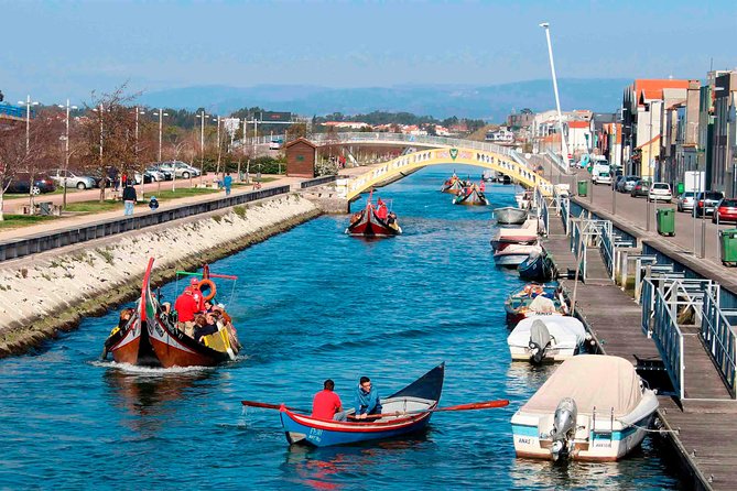 Aveiro Canal Cruise in Traditional Moliceiro Boat - The 45 minutes on the water: what you’ll experience during the cruise