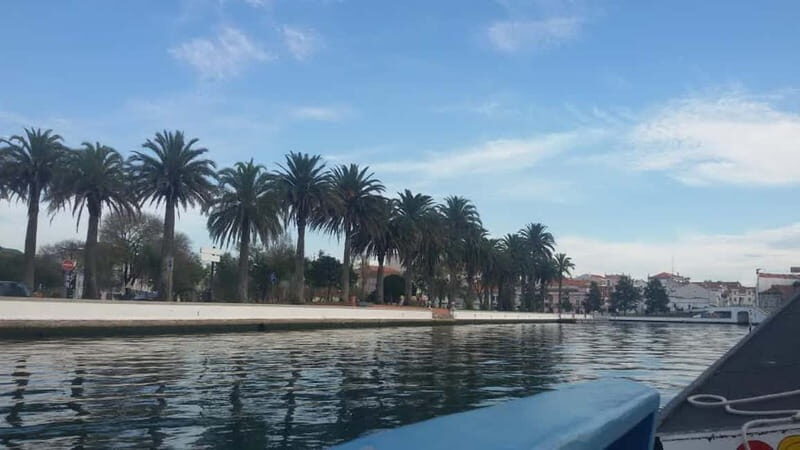 Aveiro & Coimbra Small Group Tour with Moliceiro Boat Cruise - Why Aveiro Feels Like a Real-Day Venice Moment