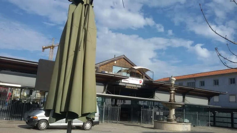 Aveiro & Coimbra Small Group Tour with Moliceiro Boat Cruise - The Moliceiro Boat Cruise: How to Get the Most from the Water