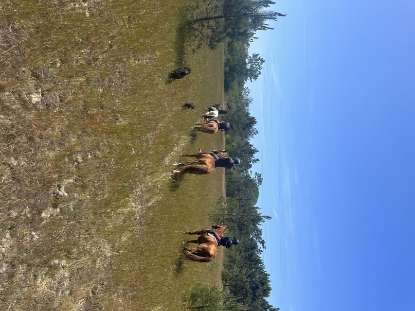 Aveiro: Horse Riding Experience with Instructor - Key highlights you’ll feel fast