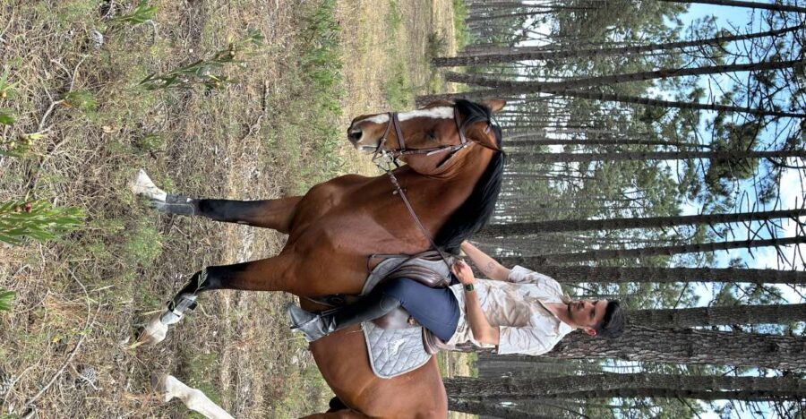 Aveiro: Horse Riding Experience with Instructor - Where the ride starts: GQhorses and your first steps toward confidence