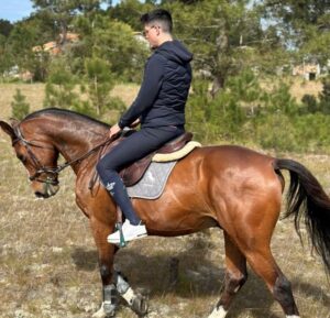 Aveiro: Horse Riding Experience with Instructor - Your 60 minutes of horse time: training that actually matters