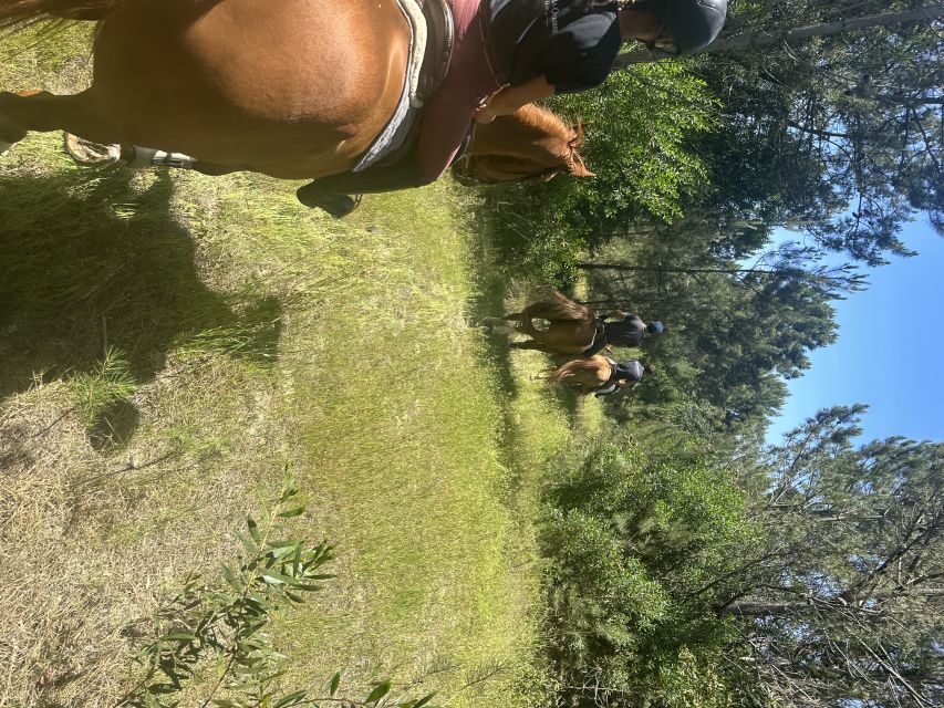 Aveiro: Horse Riding Experience with Instructor - Group size and pacing: why “up to 5” feels like the sweet spot
