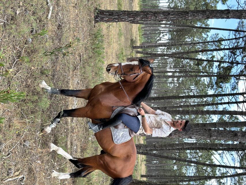Aveiro: Horse Riding Experience with Instructor - Food, drinks, and timing: plan the rest of your day