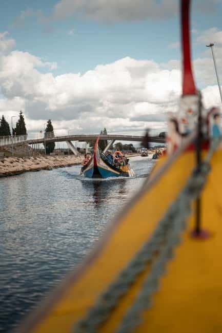 Aveiro: Moliceiro Boat Tour - Key highlights to look for