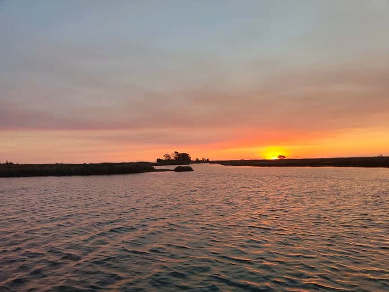 Aveiro: Ria Highlights Boat Tour - Ria de Aveiro: the lagoon tour that beats the usual canal ride