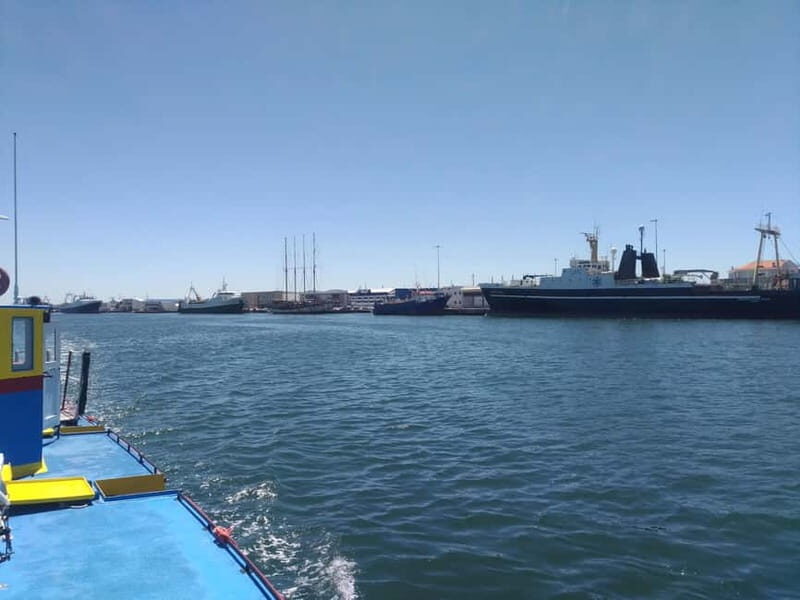 Aveiro: Ria Highlights Boat Tour - The salt-and-fishing story that makes the scenery make sense