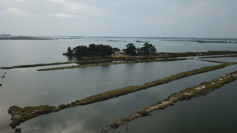 Aveiro: Ria Highlights Boat Tour - The moliceiro contrast: why this tour feels more authentic