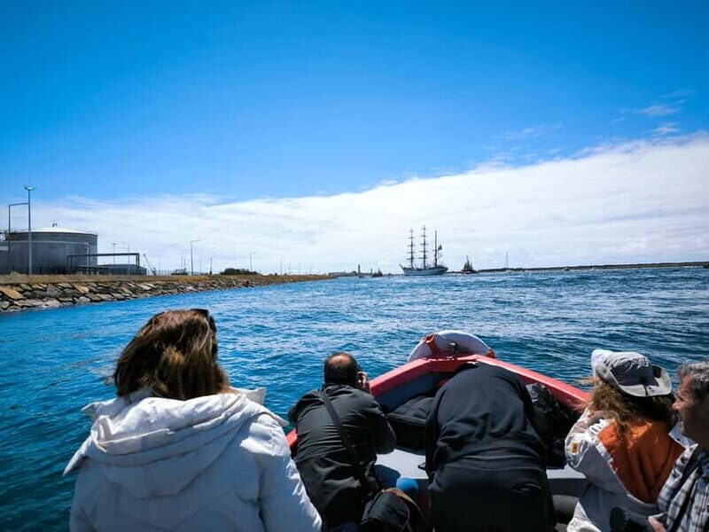 Aveiro: Ria Highlights Boat Tour - Who should book this Aveiro Ria Highlights boat tour?