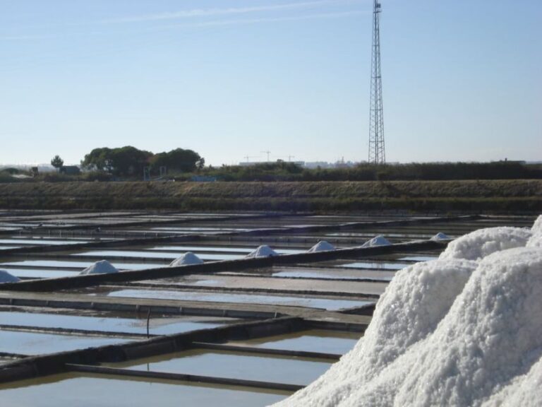 Aveiro: Walking Tour, Boat Cruise, Sweets & Church Entrance - Beira Mar on foot: fishermen streets and canal-side color
