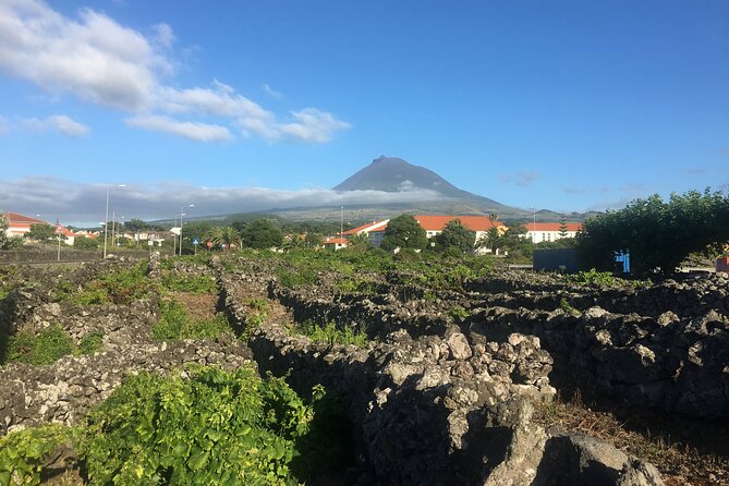 Award-Winning Curated Pico Wine Tasting, Food & Cultural Tour - Who this tour fits best (and who should skip it)
