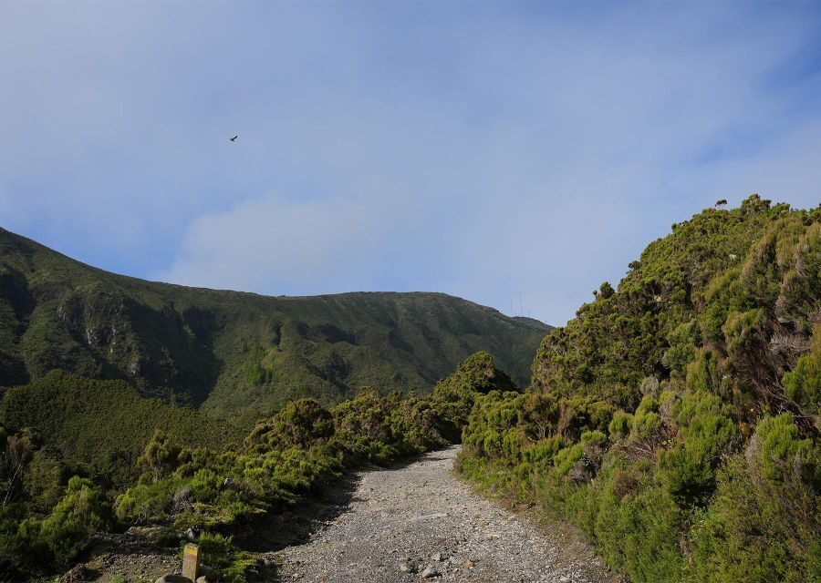 Azores: São Miguel and Lagoa do Fogo Hiking Trip - Lagoa do Fogo Stop: Photos, Picnic, and a Guided Look