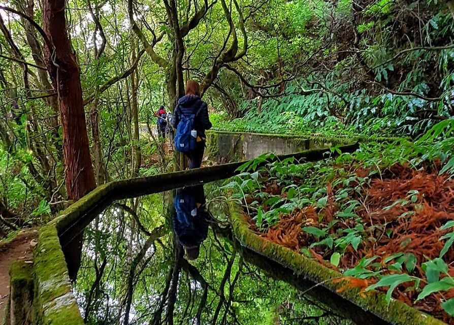 Azores: São Miguel and Lagoa do Fogo Hiking Trip - Price and What You Actually Get for $76