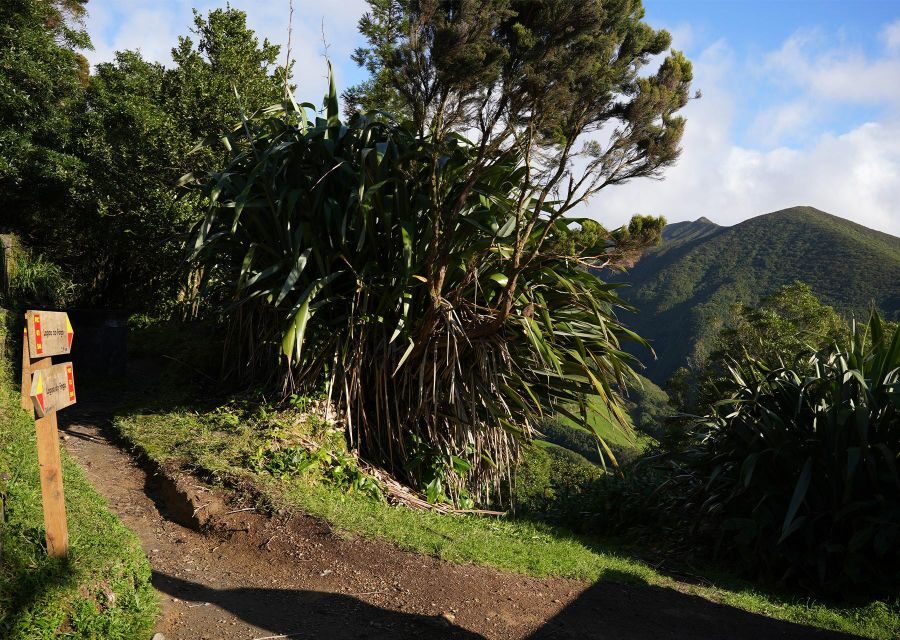 Azores: São Miguel and Lagoa do Fogo Hiking Trip - When Weather Changes the Day, You Still Get Nature