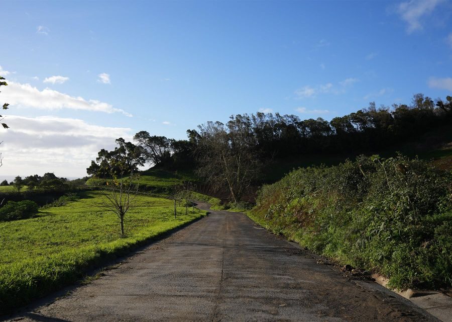 Azores: São Miguel and Lagoa do Fogo Hiking Trip - What the Trail Teaches You: Heather, Cryptomeria, and the Levada
