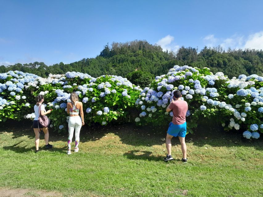 Azores: Sete Cidades, Blue & Green Lake Shore Excursion - Price and Value: What You Get for $45