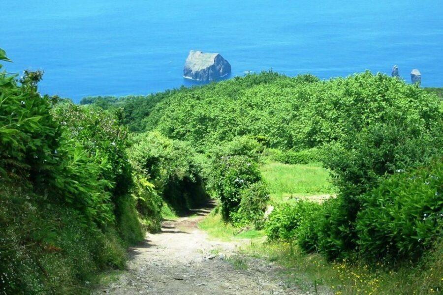 Azores: Sete Cidades Scenic Jeep Tour from Ponta Delgada - Vista do Rei: the belvedere that rounds out the story
