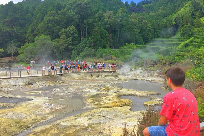 Azores: Shore Excursion Furnas - Crater volcano and hot springs - Small-group van comfort vs. cruise-day realities
