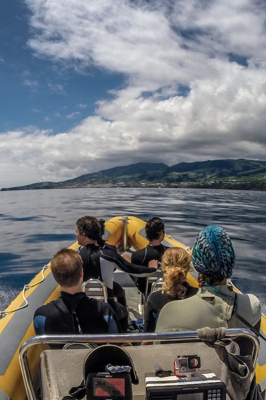 Azores: Swim with Dolphins Atlantic Experience - Marina time in Vila Franca do Campo: small break, real convenience
