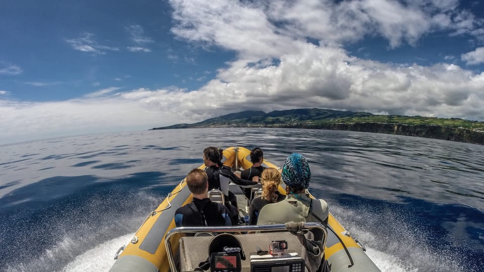 Azores: Swim with Dolphins Atlantic Experience - Price and logistics: is $136 fair for 3 hours?