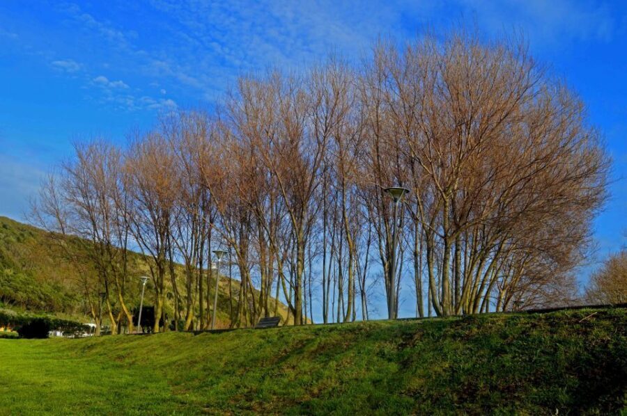 Azores: Terceira Island Full-Day Tour - Algar do Carvão Closure: Your Cave Stop at Gruta do Natal