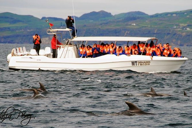 Azores Whale Watching Tour – Ponta Delgada - Your boat choice: catamaran comfort or inflatable speedboat excitement